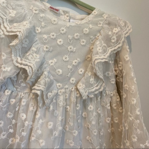 ZARA EMBROIDERED DRESS WITH TULLE 4/5 - Picture 5 of 9